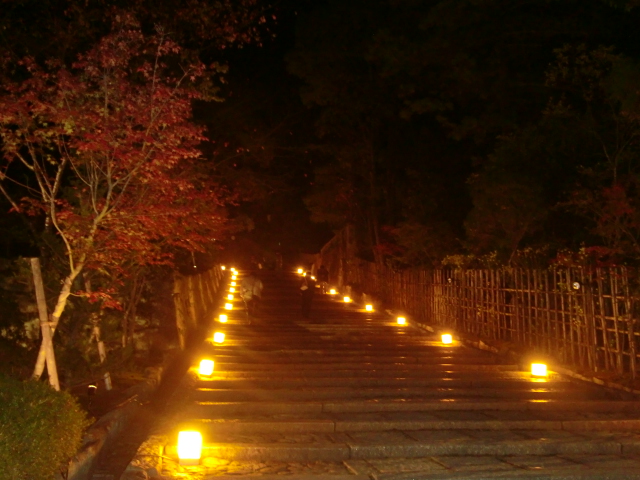 Kyoto,Nara 11.2009 385