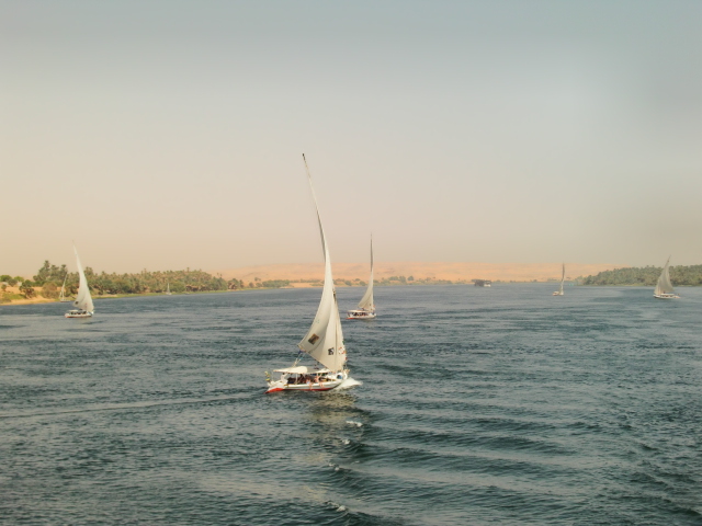 Egypt 10.2010 390