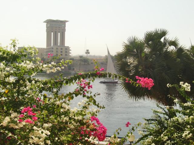 Egypt 10.2010 627
