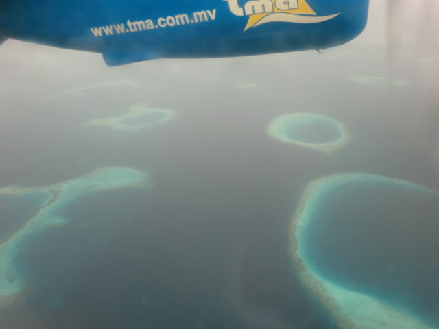 青い珊瑚礁、あの島へ！モルディブ・アンサナ ヴェラヴァル