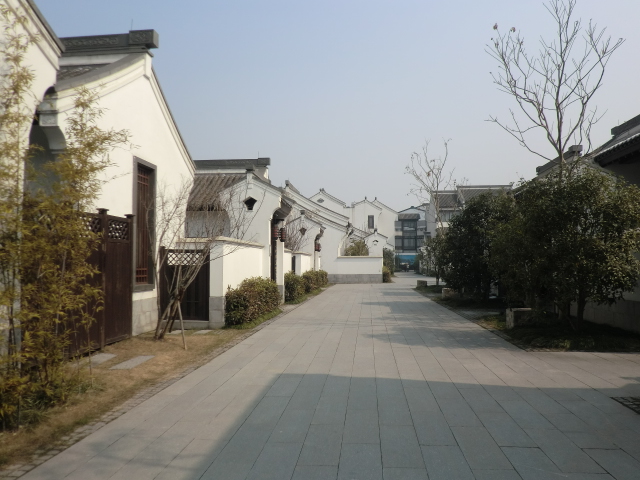 Hangzhou 02.2011 043