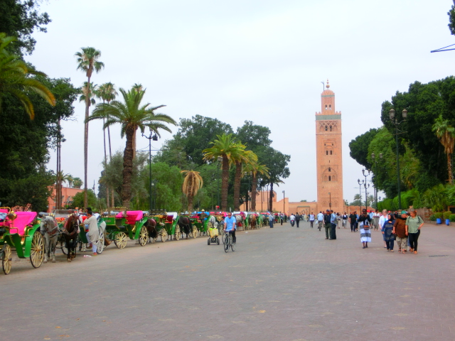 Morocco 06.2014 969