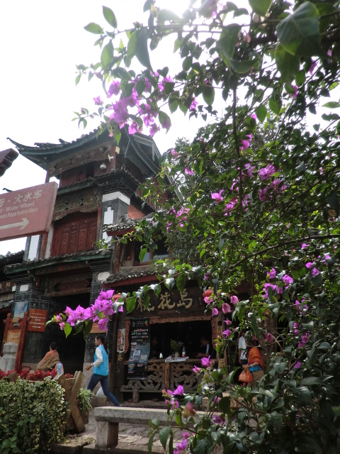Yunnan 08.2012 333