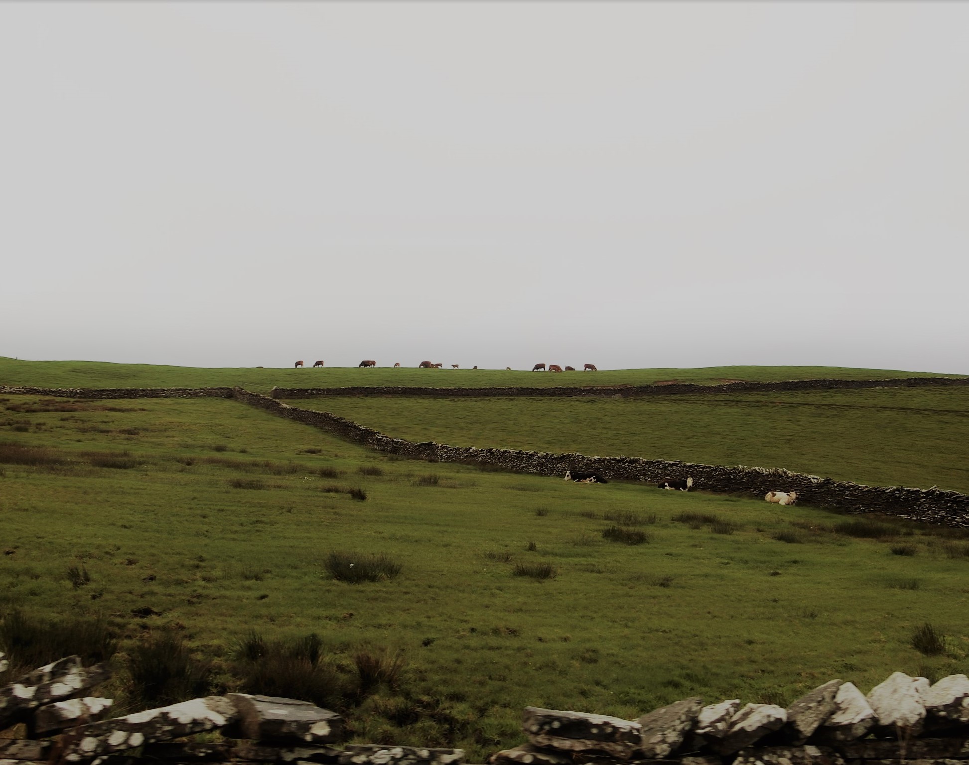 幾重にも重なるアイルランドの断崖絶壁、モハーの断崖
