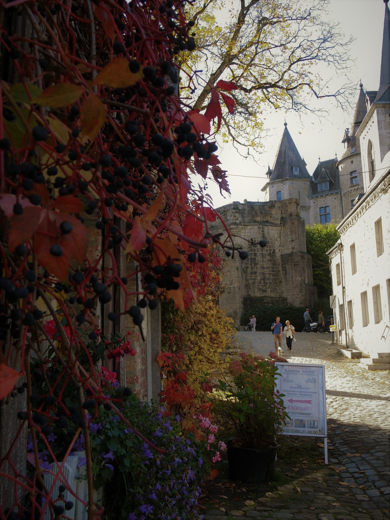 Abbaye d’Orval　～緑に抱かれたオヴァル修道院～