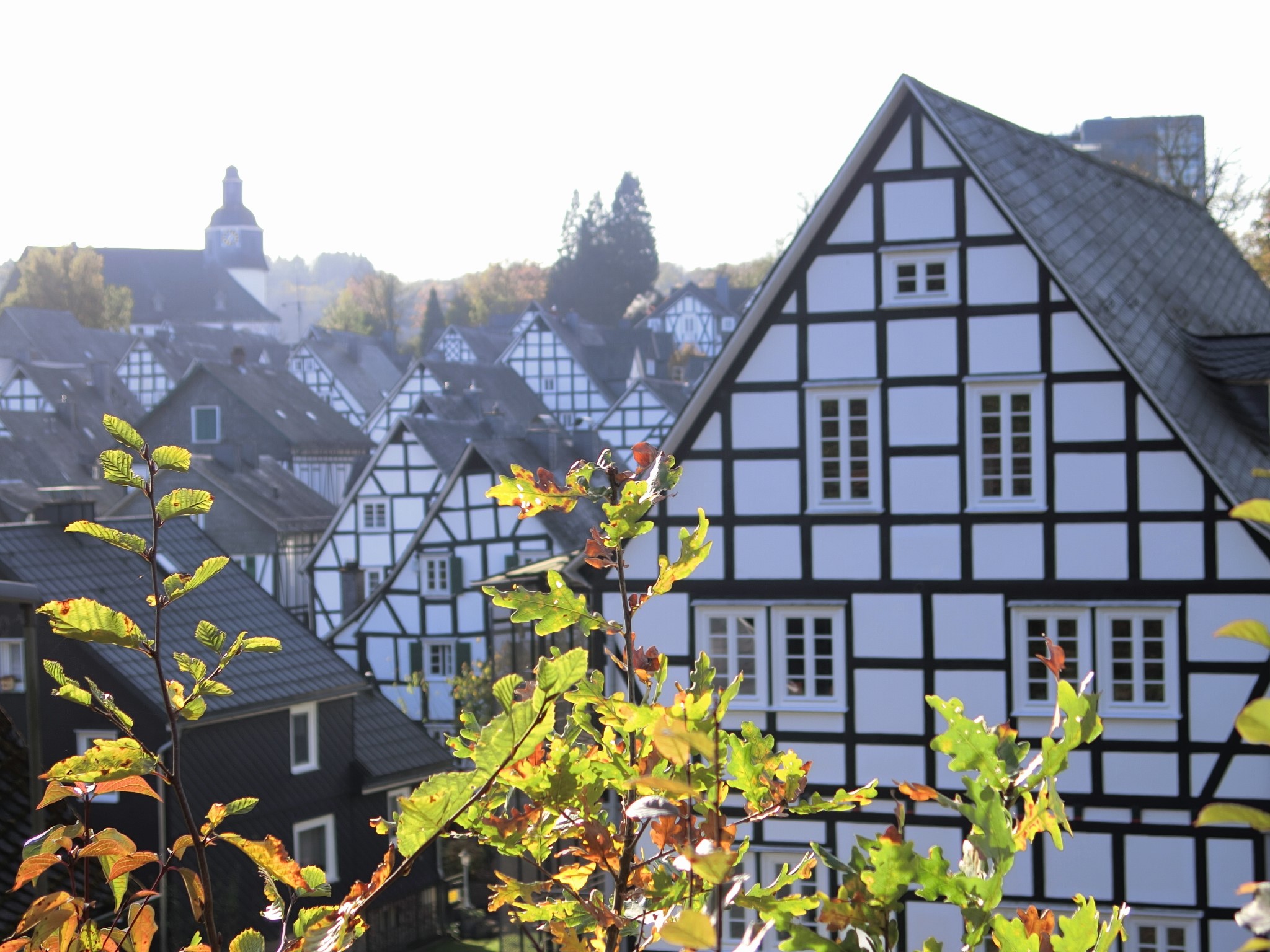 古城にワイン、黄葉が綺麗な秋のドイツ