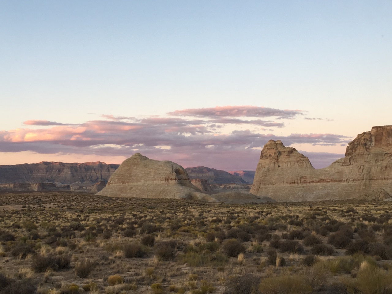 Amangiri 夕暮れ時のアマンギリではウサギに会えるチャンス!