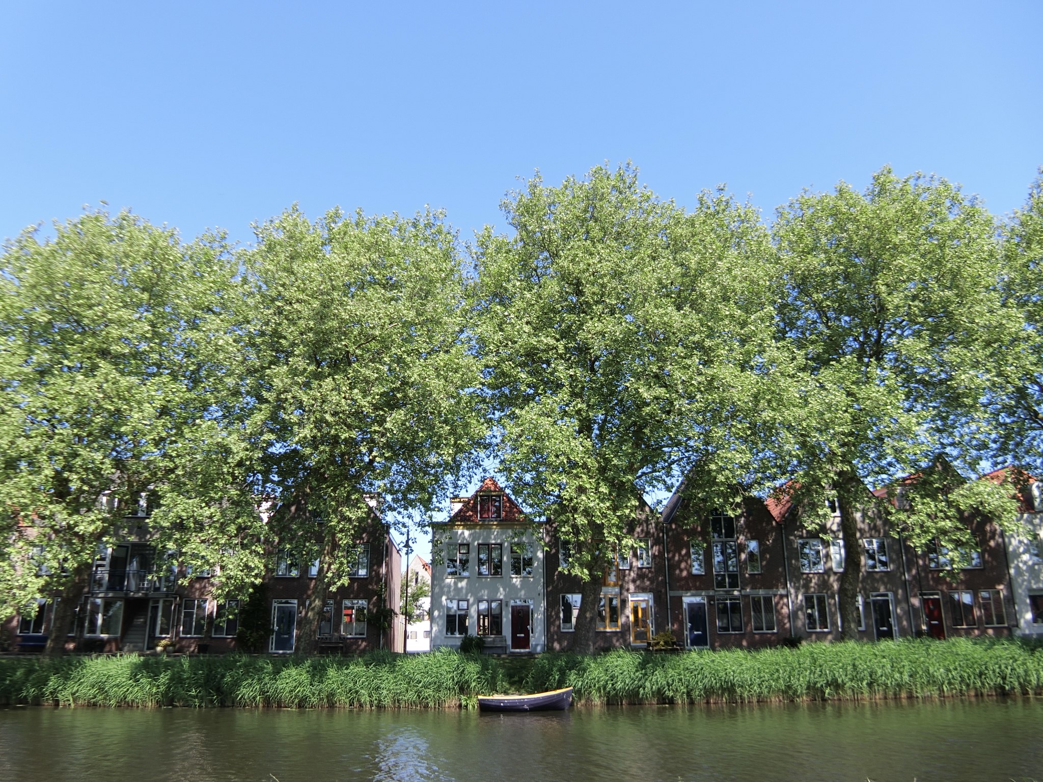 旬のマーチェスを食べにオランダのフォーレンダムへ！
