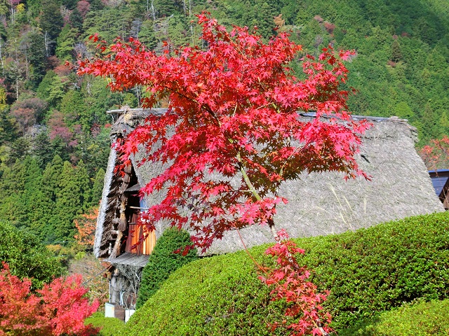 紅葉した山々に囲まれた奈良井宿