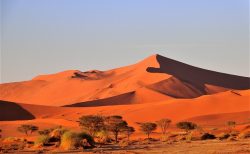 朝日に染まるアプリコット色の砂丘が美しいソススフレイへ