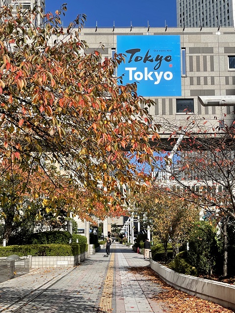 東京の秋2022