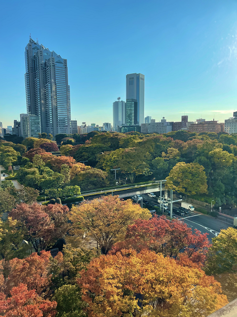 新宿中央公園の紅葉満喫！ハイアットリージェンシー東京のクラブラウンジ