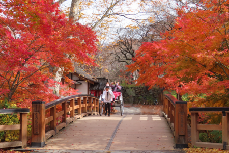 桜だけじゃない！秋の紅葉も美しい小諸城跡の懐古園