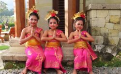 ケデワタン村の子供たちによるバリ舞踊とディナー＠アマンダリ