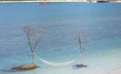 朝ご飯後のビーチウォークとラングール＠シックスセンシズ ニンヴァンベイ