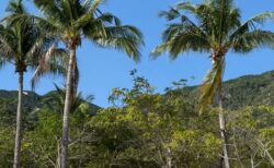 ビーチで過ごすシックスセンシズ ニンヴァンベイ