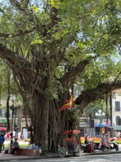 ハノイの街歩き22025