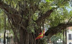 ハノイの街歩き22025