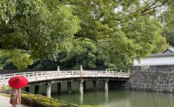 東京観光にも便利なザ ブロッサム日比谷に滞在