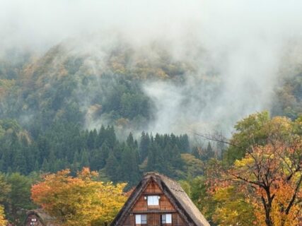 秋の紅葉と白川郷合掌造りの村 2025