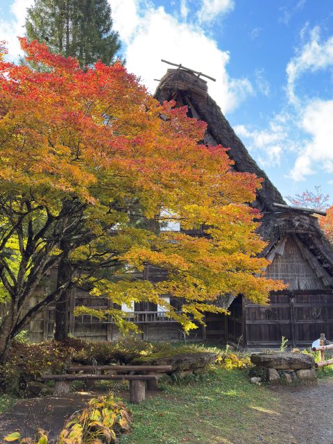 紅葉が美しい飛騨の里2025