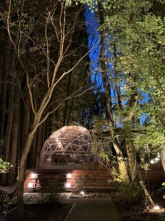 グランピング森の空で森の中のテント泊