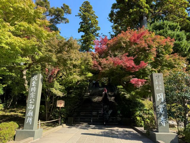 秋の鎌倉散歩2025