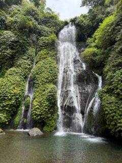 ロヴィナビーチとバニュマラの滝