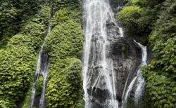 ロヴィナビーチとバニュマラの滝