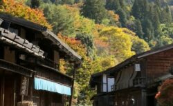 秋の妻籠宿を歩こう2025